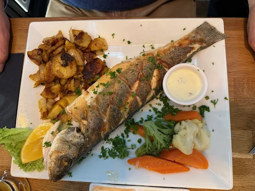 Fisch Pauli photo 8